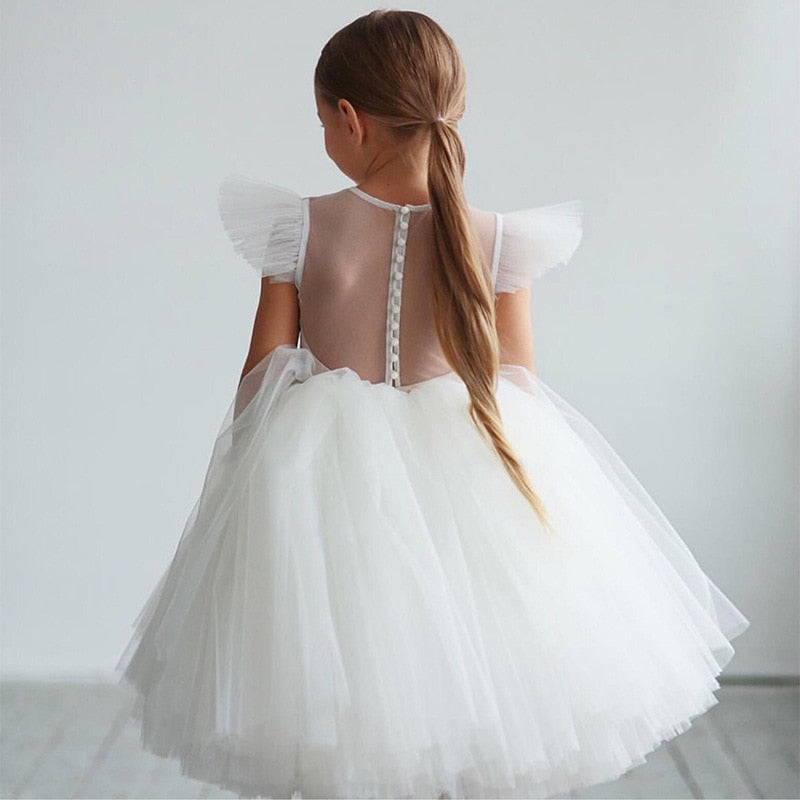 Princess Long Tulle Baby Girls dress